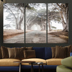 Cypress Tunnel Wall Art | Framed Misty Road Canvas Artwork