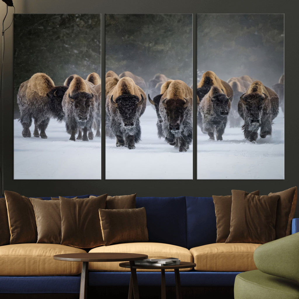 Bison Herd Wall Art Canvas Print, Framed Rustic Wildlife Decor, Snowy Bison Landscape