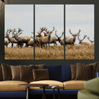 Elk Herd Wall Art Canvas Print, Framed Wildlife Photography Art, Majestic Antlers Rustic Wildlife Decor