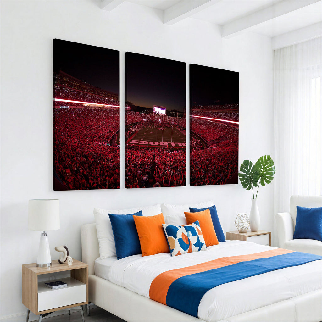 Dooley Stadium Wall Art, Sports Arena Canvas Print, Dooley Field Sanford Stadium
