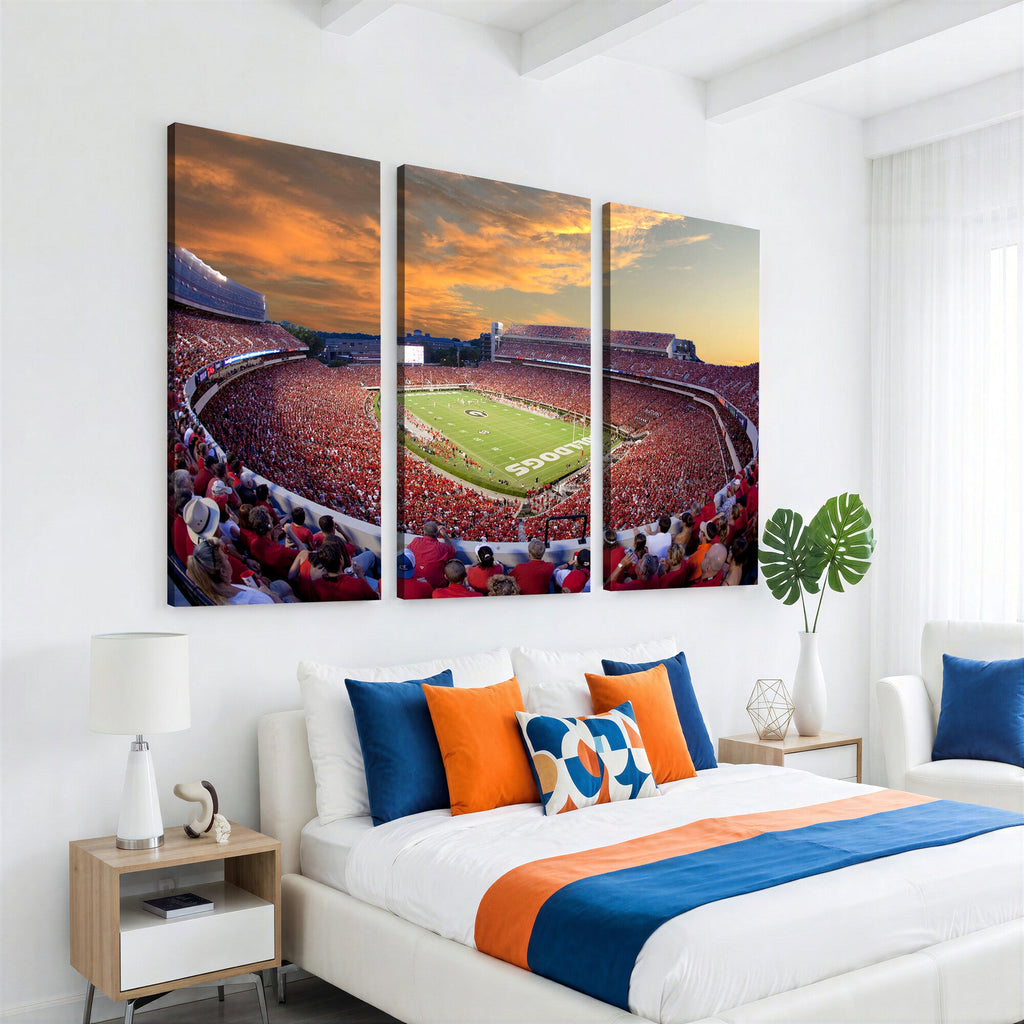 Dooley Stadium Wall Art, Sports Arena Canvas Print, Dooley Field, Framed and Ready to Hang