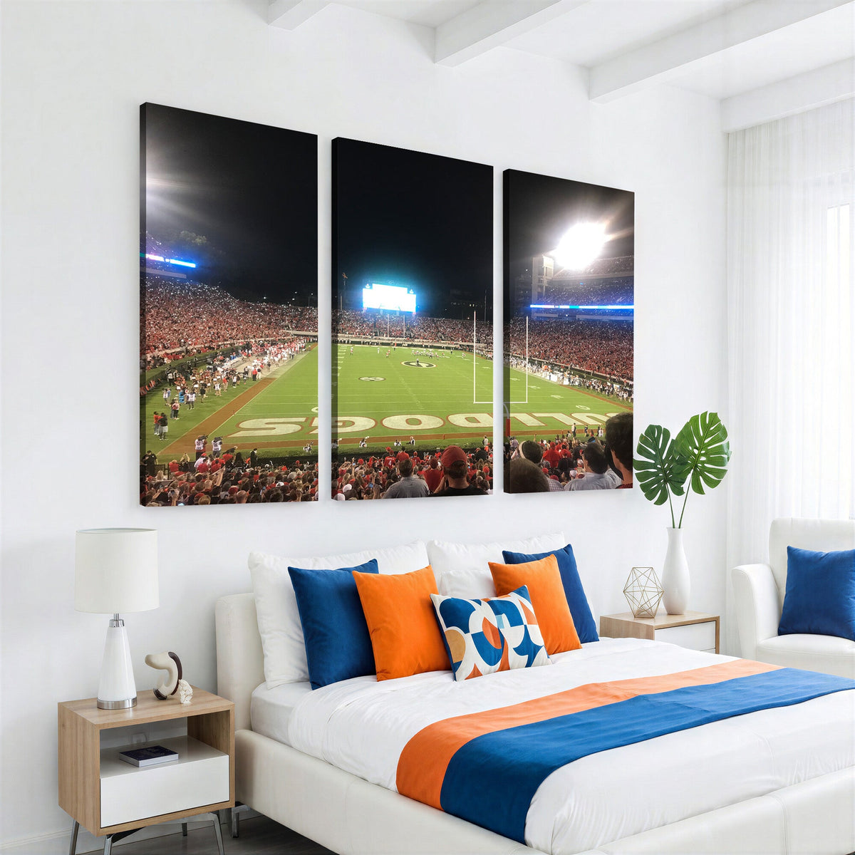 Dooley Stadium Wall Art, Sports Arena Panoramic Canvas