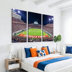 Wolfpack Football Team Print, Raleigh Carter-Finley Stadium