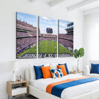 TCU Horned Frogs Football Team Print, Fort Worth Amon G. Carter Stadium, Framed and Ready to Hang