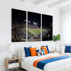 TCU Horned Frogs Football Team Print, Fort Worth Amon G. Carter Stadium