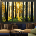 Sunlit Forest Wall Art Canvas Print, Large Framed Woodland Scene with Golden Light