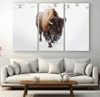 Bison Winter Wall Art Canvas Print For Farmhouse Decor