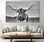 Texas Longhorn Cow Wall Art, Texas Longhorn Canvas, Cattle