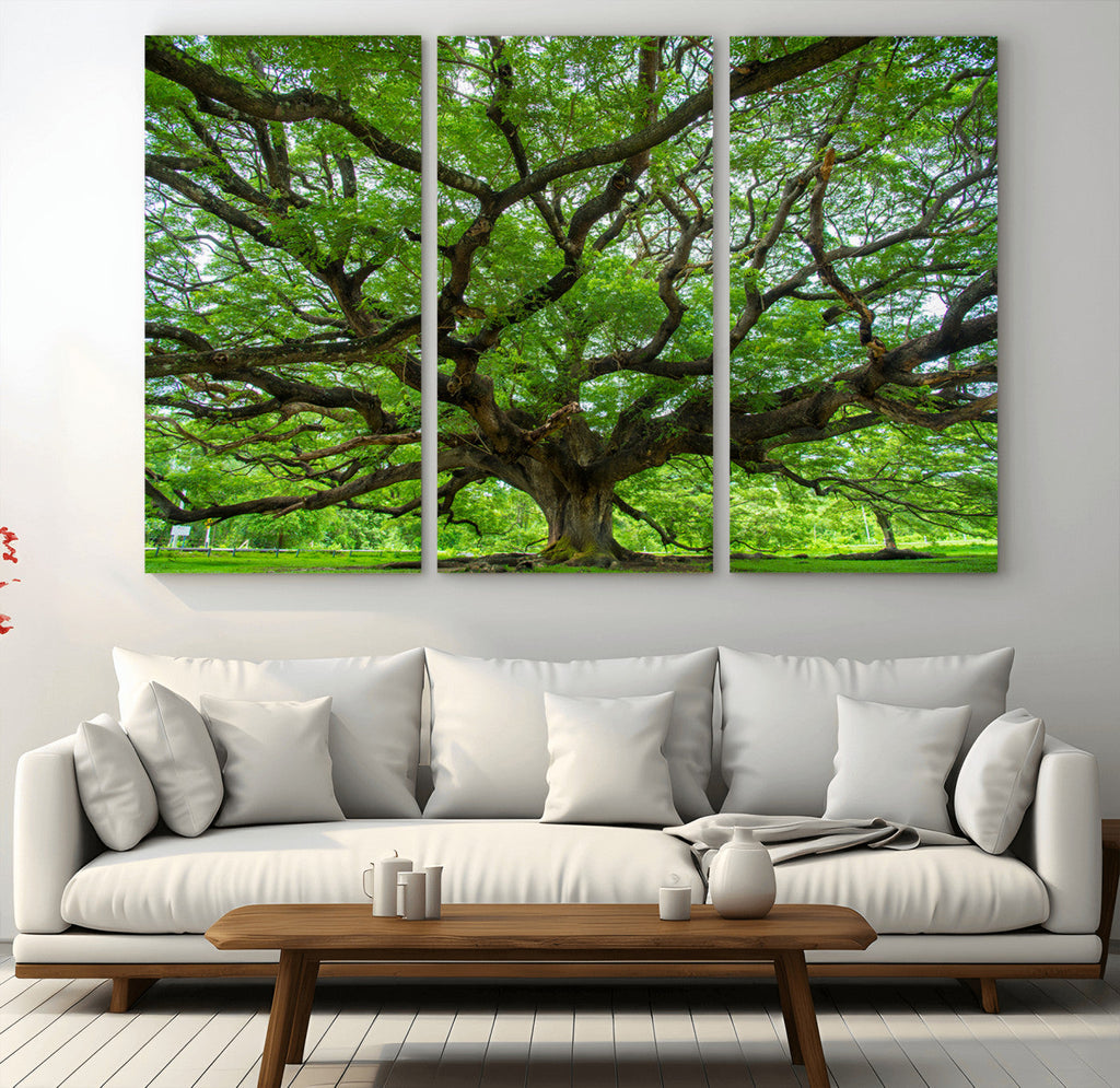 Ancient Tree Wall Art Canvas Print, Framed Sprawling Branches