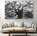 Ancient Oak Wall Art Canvas Print | Gnarled Tree with Twisted Branches