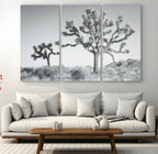Joshua Tree Wall Art Canvas Print, Framed Black and White Desert Landscape Artwork
