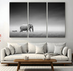Elephant and Zebra Wall Art Canvas Print, Modern Artwork