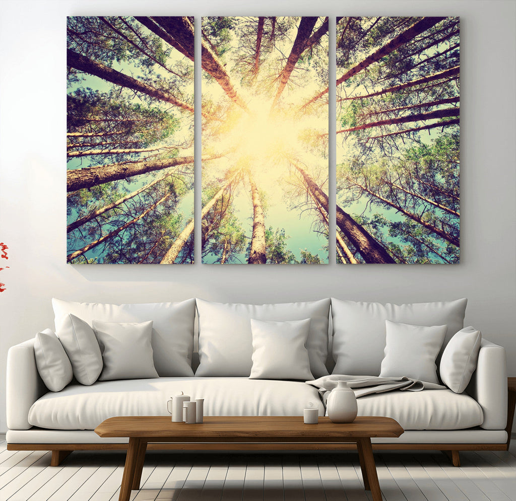Tree and Sunshine Canvas Print