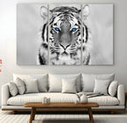 Tiger Canvas Artwork Wall Art Print