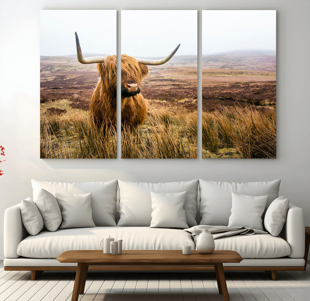 Scottish Highland Cow Canvas Wall Art, Rustic Farmhouse Decor