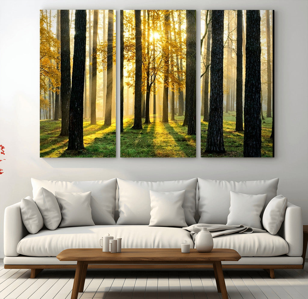 Sunlit Forest Wall Art Canvas Print, Large Framed Woodland Scene with Golden Light