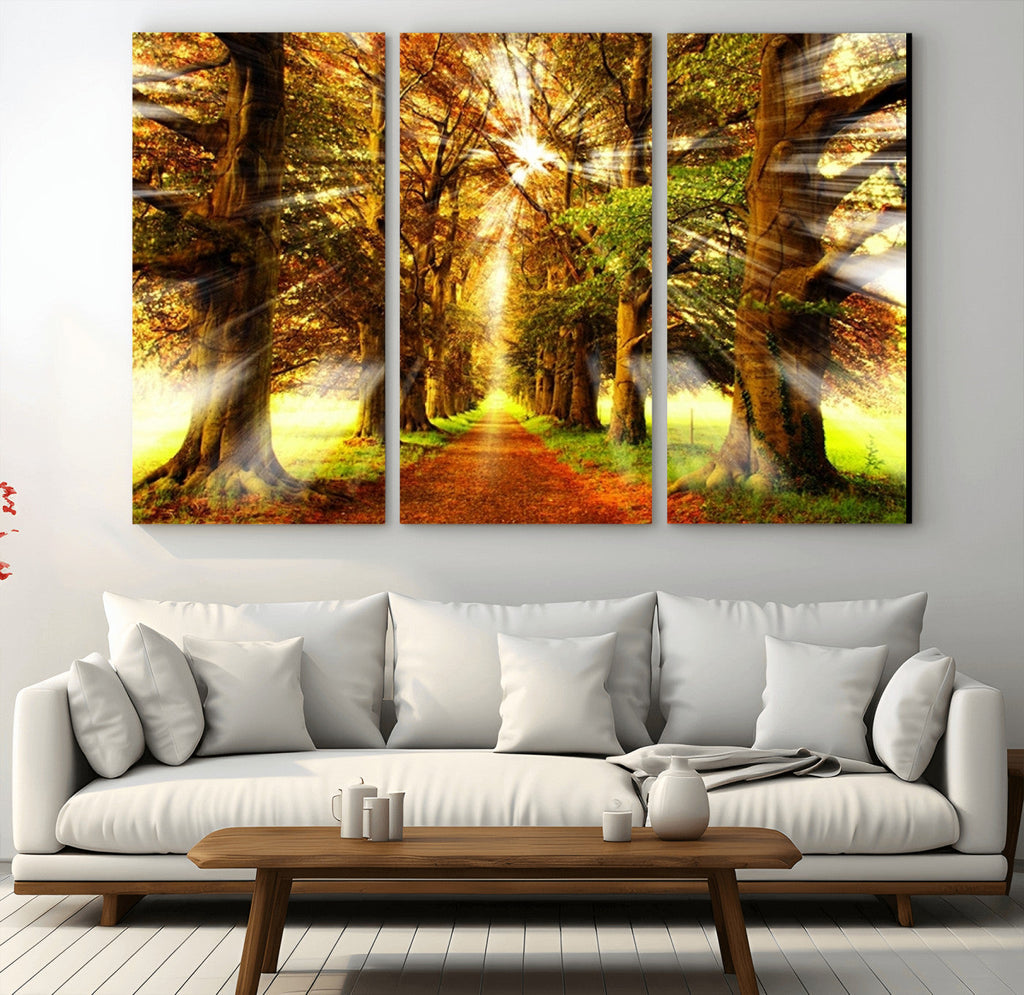 Sunshine in Forest and Trees Wall Art Canvas Print