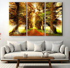Sunshine in Forest and Trees Wall Art Canvas Print