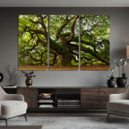 Angel Oak Tree Wall Art Canvas Print | Forest Tree Nature Photography Print