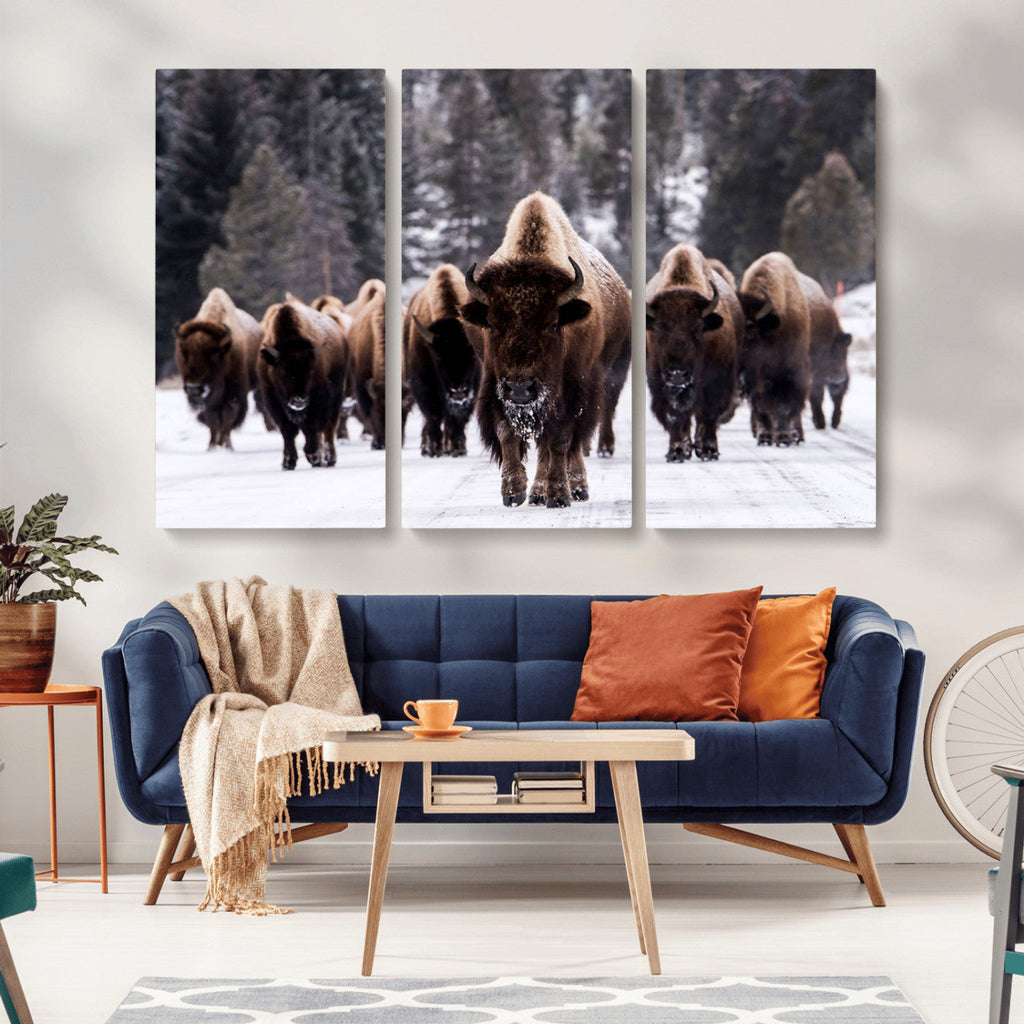 Bison Wall Art Canvas Print, Bison Herd Canvas Wall Art