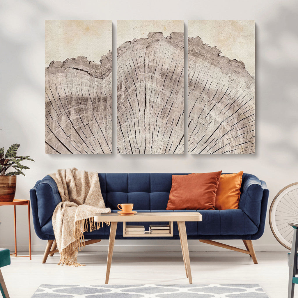 Tree Ring Wall Art Triptych, Rustic Wood Ring Canvas Print