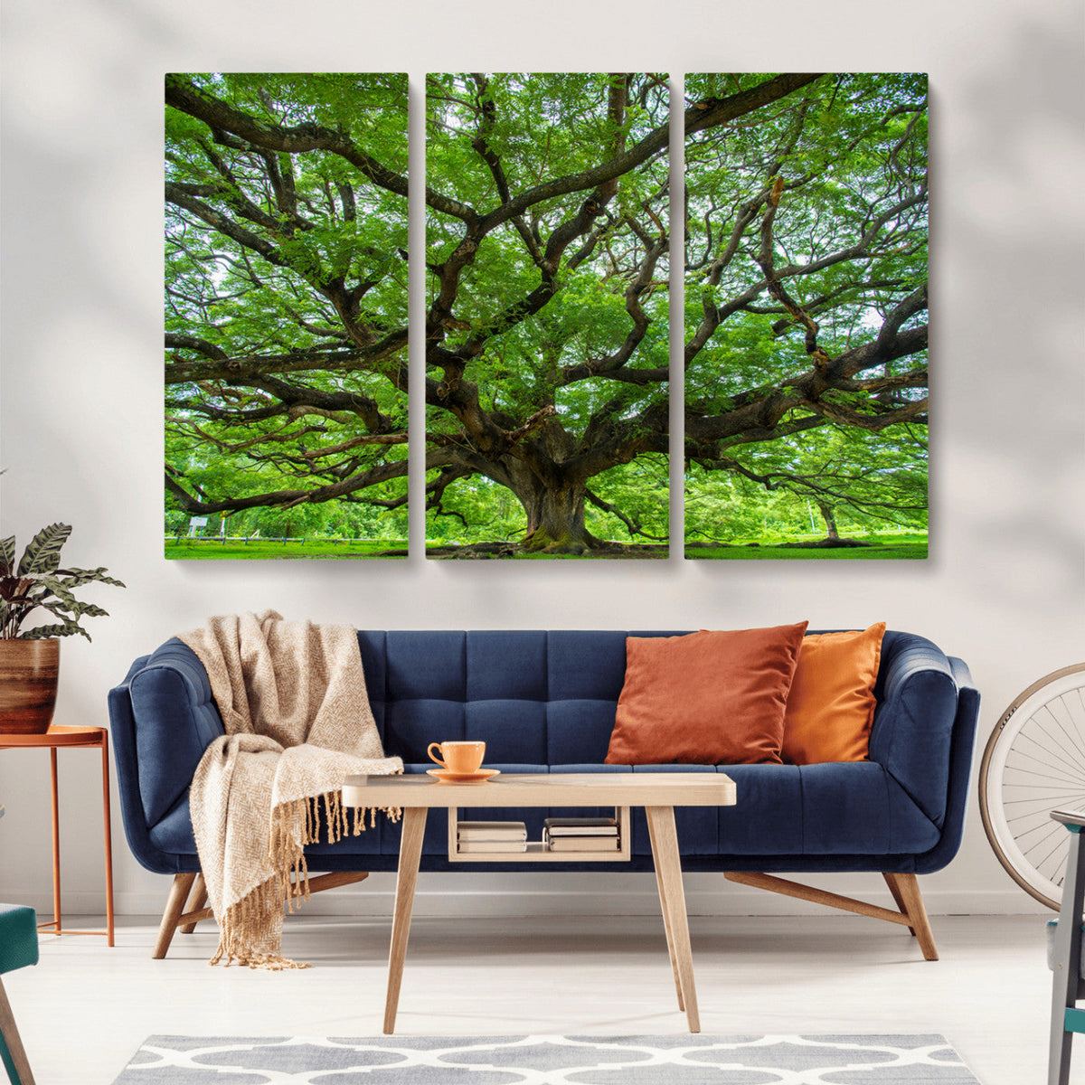 Ancient Tree Wall Art Canvas Print, Framed Sprawling Branches