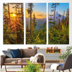 Forest Sunset Wall Art Canvas Print | Green Pines in Golden Light