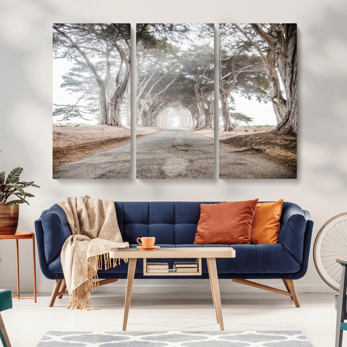 Cypress Tunnel Wall Art | Framed Misty Road Canvas Artwork