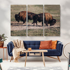 Bison Wall Art Canvas Print, Framed Western Wildlife Modern Ranch