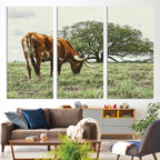 Texas Longhorn Wall Art Canvas Print, Rustic Western Ranch