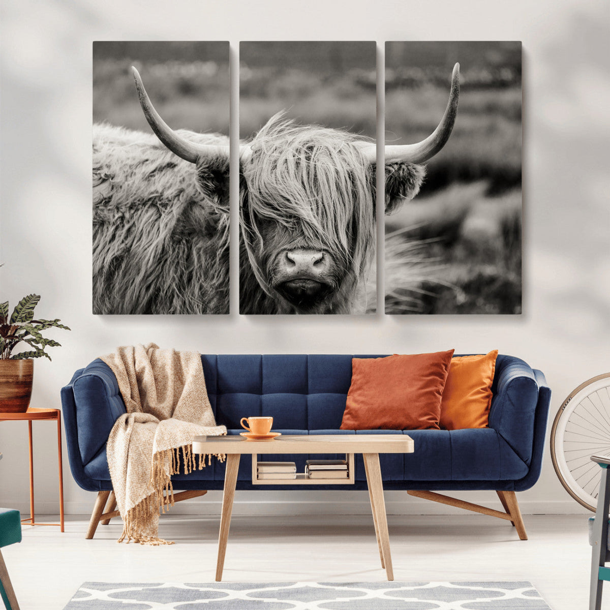 Cow Focus Canvas Wall Art Print