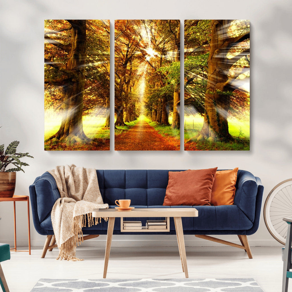 Sunshine in Forest and Trees Wall Art Canvas Print