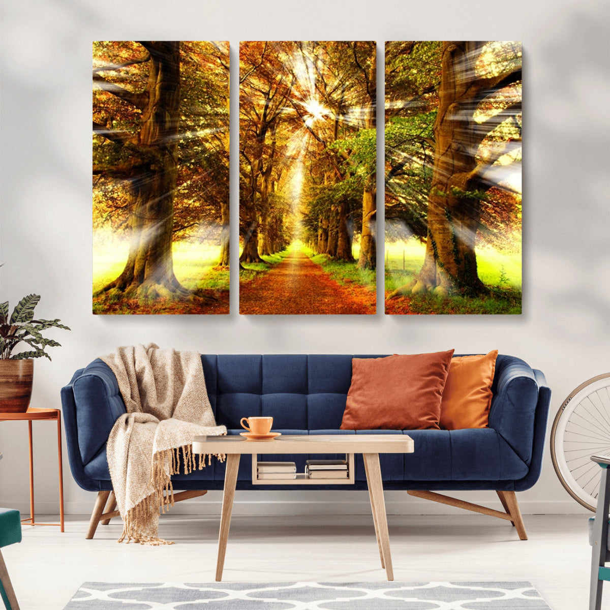 Sunshine in Forest and Trees Wall Art Canvas Print