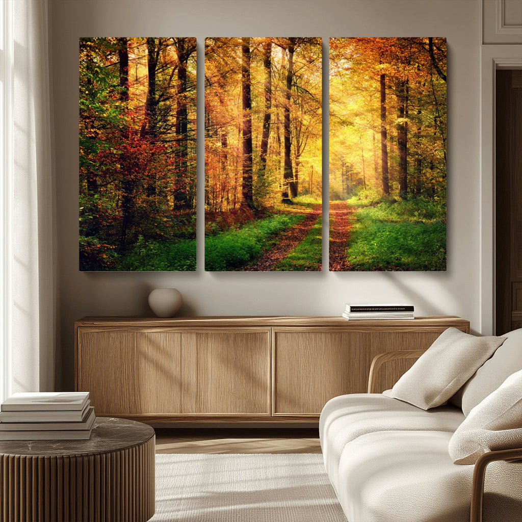 Sunlight Through Trees Wall Art Canvas Print | Autumn Forest Wall Art