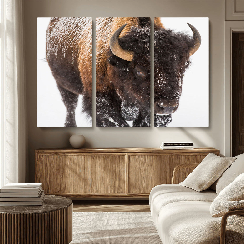 Bison Wall Art Canvas Print For Farmhouse, Wild Animal Wall Art