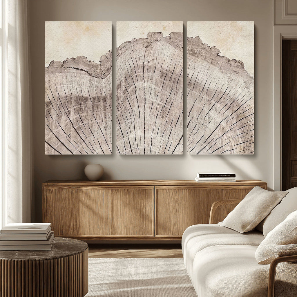 Tree Ring Wall Art Triptych, Rustic Wood Ring Canvas Print