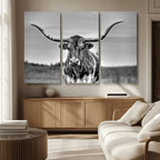 Texas Longhorn Cow Wall Art, Texas Longhorn Canvas, Cattle