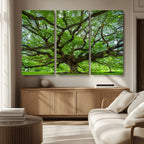 Ancient Tree Wall Art Canvas Print, Framed Sprawling Branches