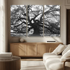 Ancient Oak Wall Art Canvas Print | Gnarled Tree with Twisted Branches