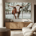 Texas Longhorn Wall Art Canvas Print | Framed Spotted Brown and White Bull