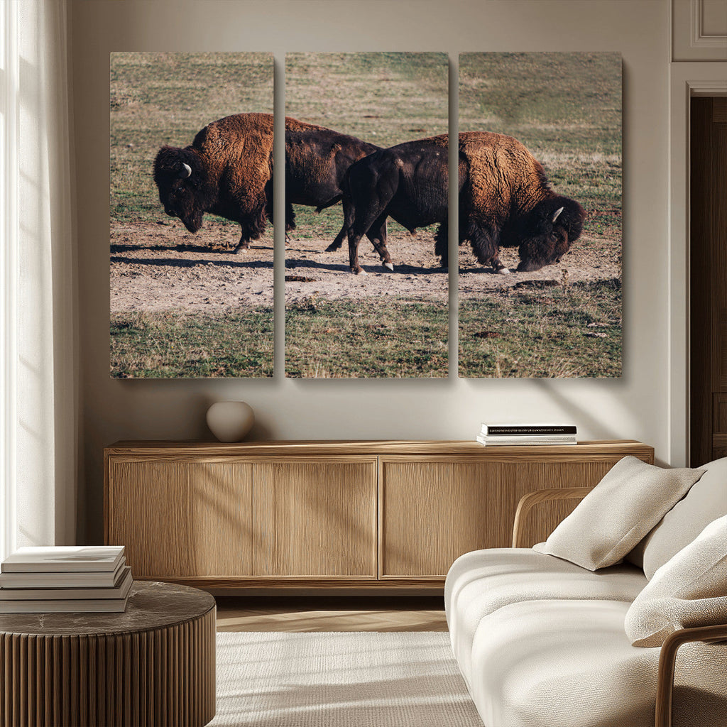 Bison Wall Art Canvas Print, Framed Western Wildlife Modern Ranch