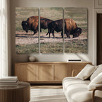 Bison Wall Art Canvas Print, Framed Western Wildlife Modern Ranch