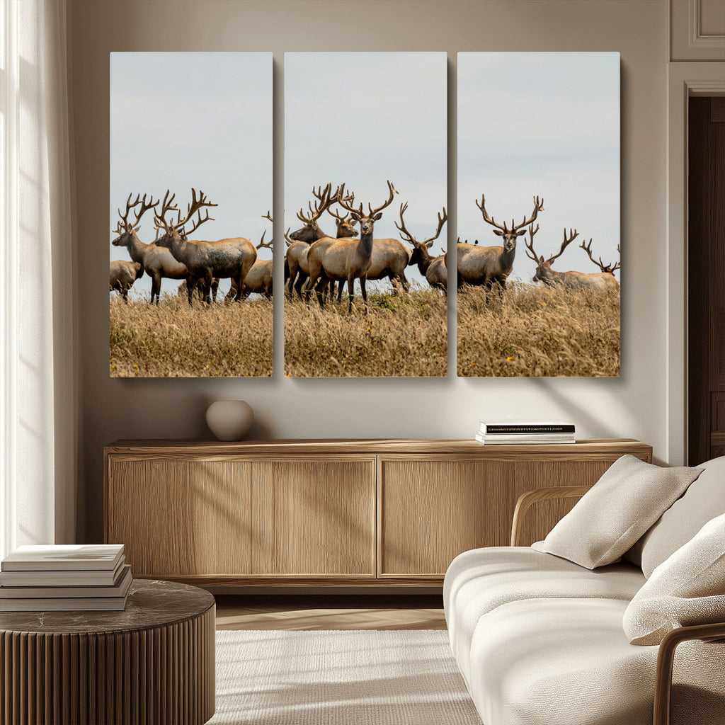 Elk Herd Wall Art Canvas Print, Framed Wildlife Photography Art, Majestic Antlers Rustic Wildlife Decor