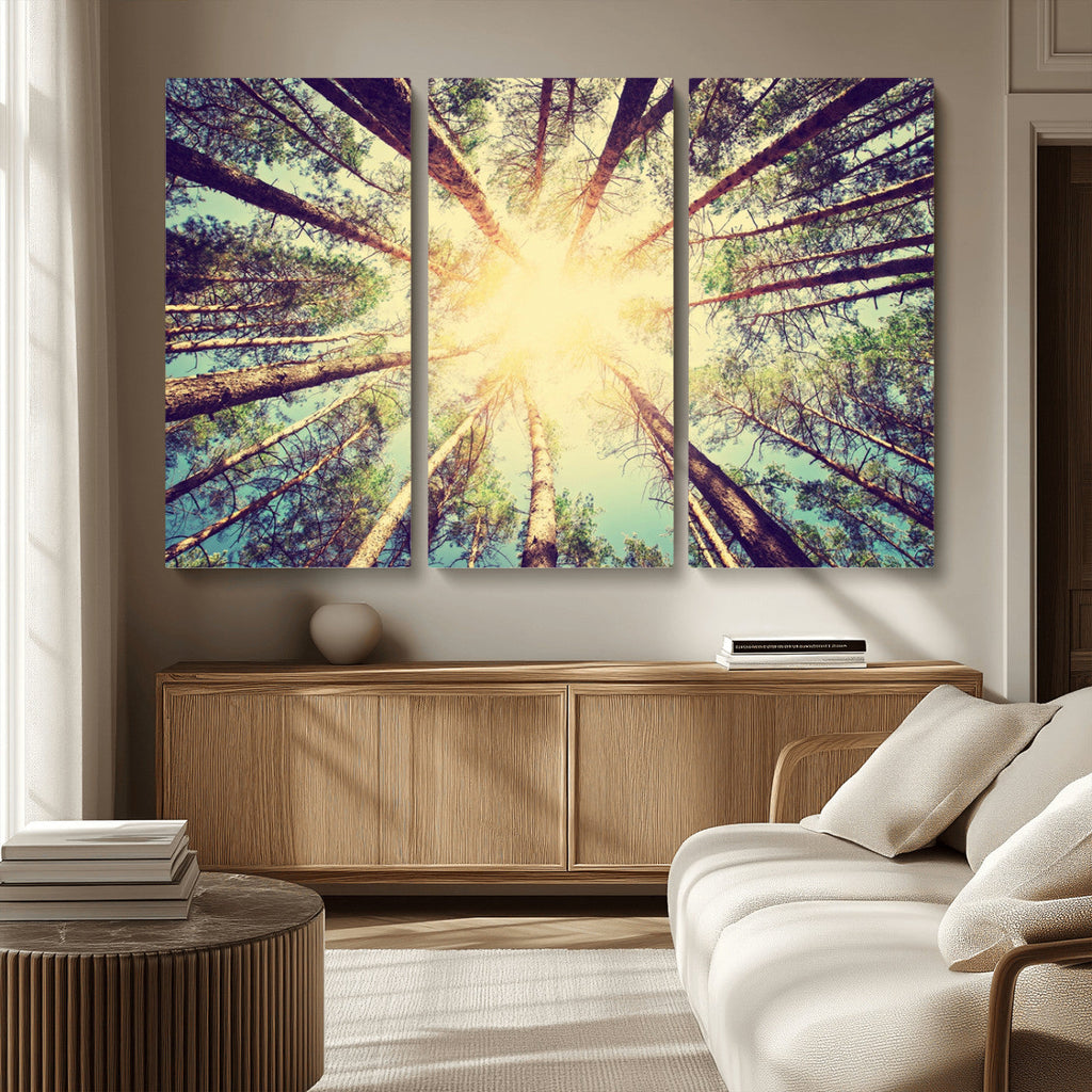 Tree and Sunshine Canvas Print
