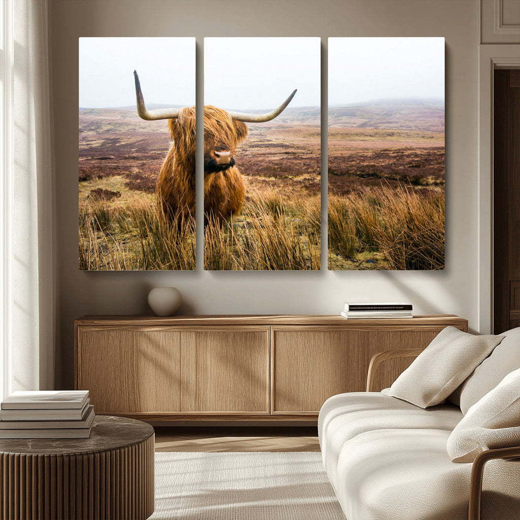 Scottish Highland Cow Canvas Wall Art, Rustic Farmhouse Decor