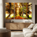 Sunshine in Forest and Trees Wall Art Canvas Print