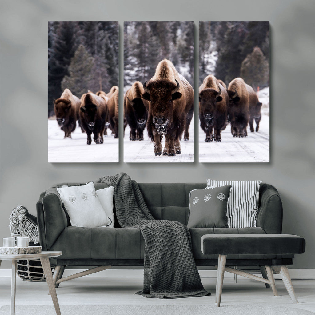 Bison Wall Art Canvas Print, Bison Herd Canvas Wall Art