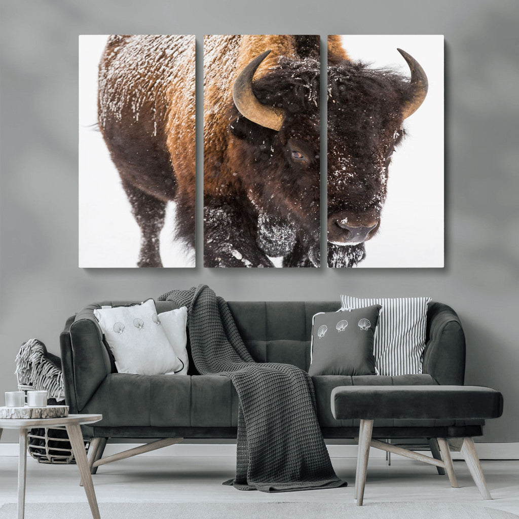 Bison Wall Art Canvas Print For Farmhouse, Wild Animal Wall Art