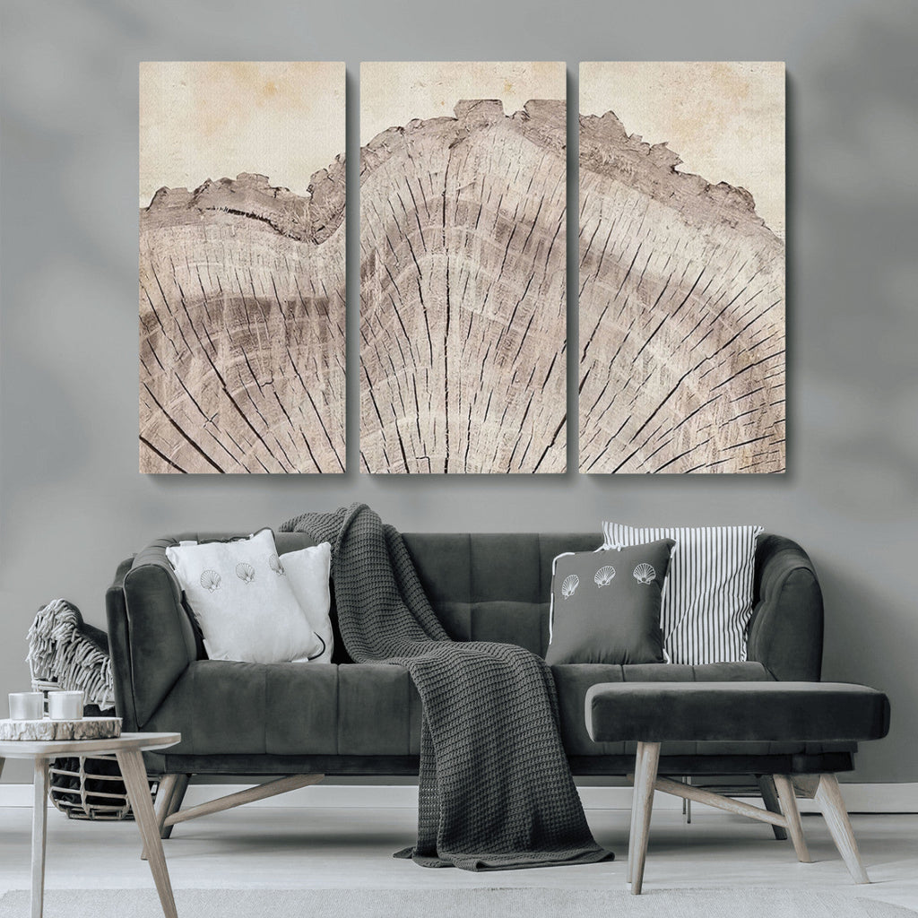 Tree Ring Wall Art Triptych, Rustic Wood Ring Canvas Print