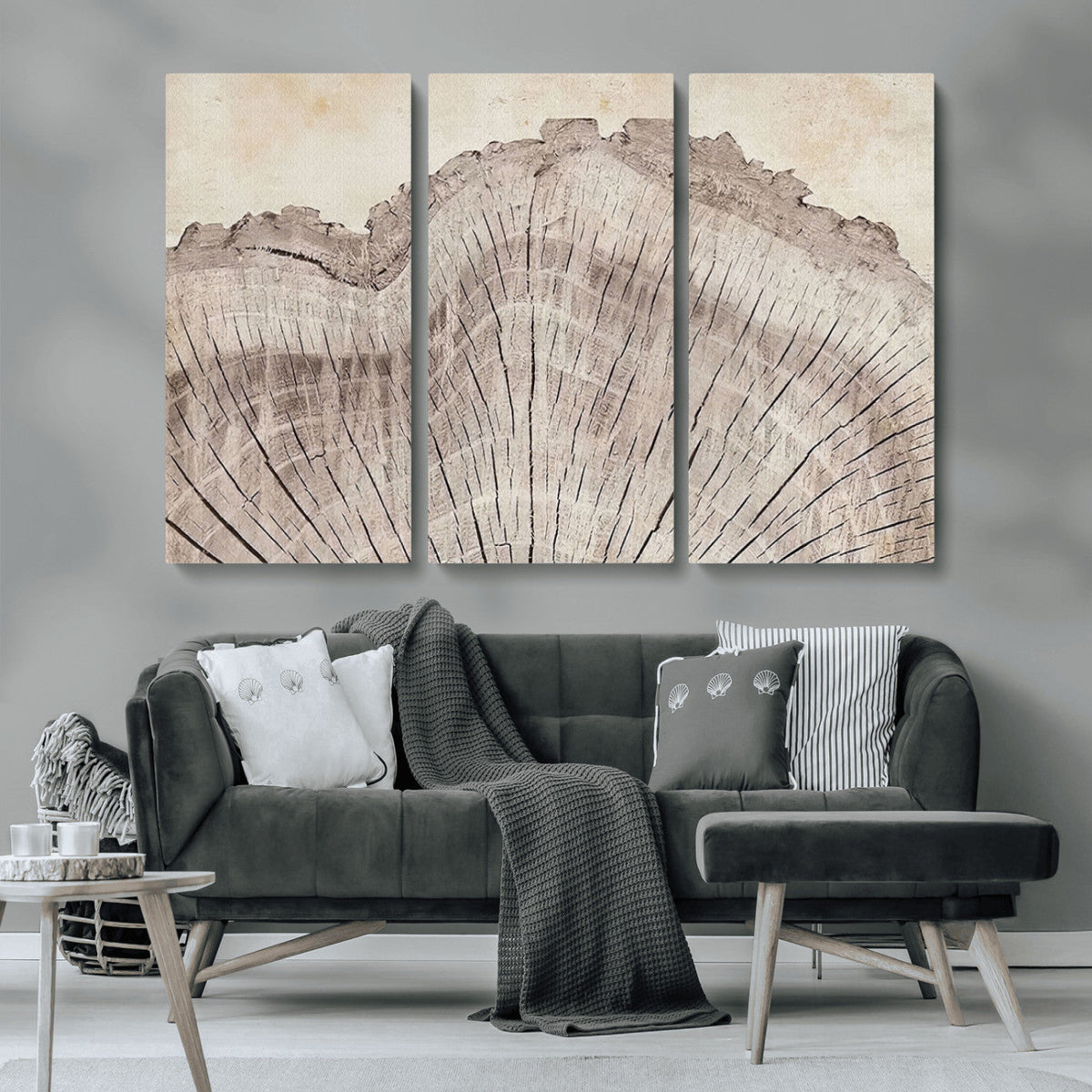 Tree Ring Wall Art Triptych, Rustic Wood Ring Canvas Print